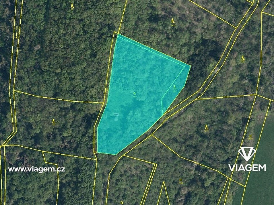 Les · Dobrovice, okres Mladá Boleslav, Středočeský kraj - 3