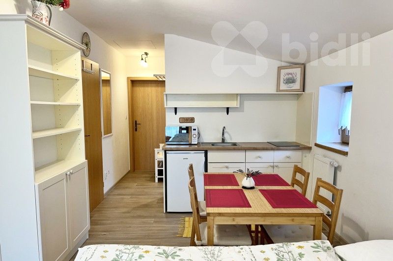 Byt 1+kk · 25 m² · Rejta 1257, Trhové Sviny - 4