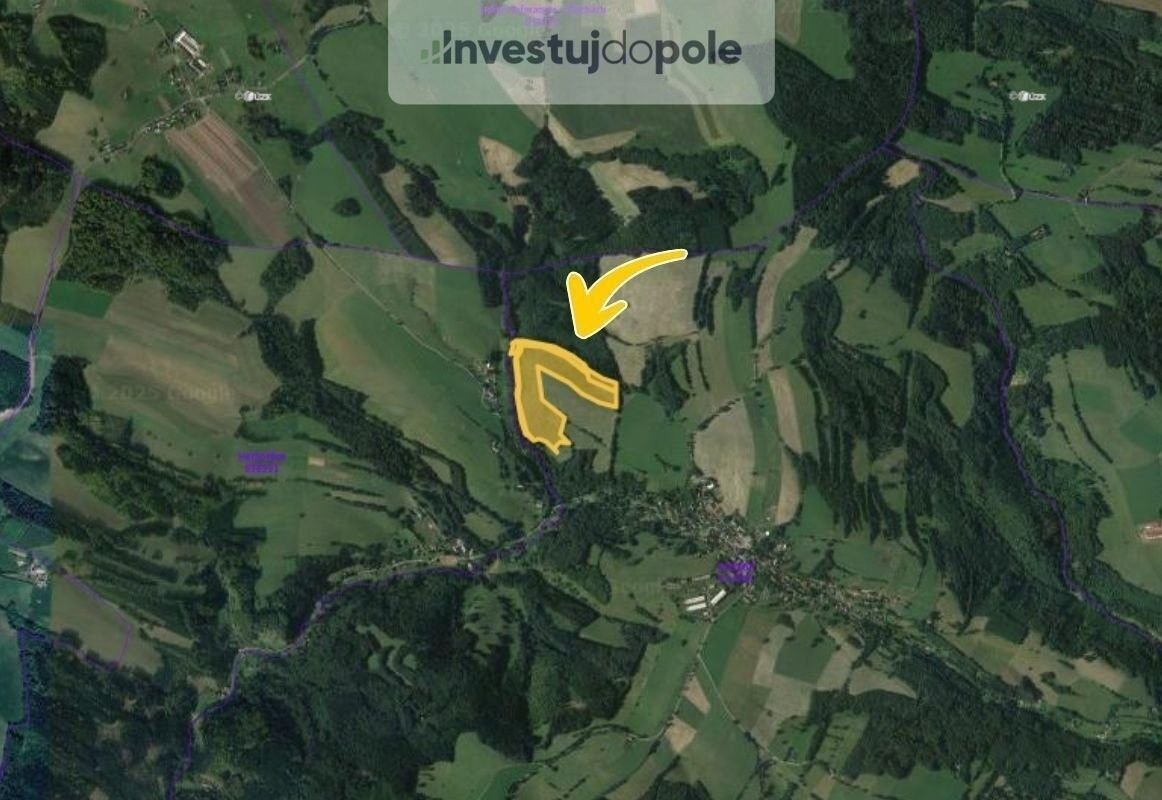 Prodej les - Cotkytle, 83 993 m²