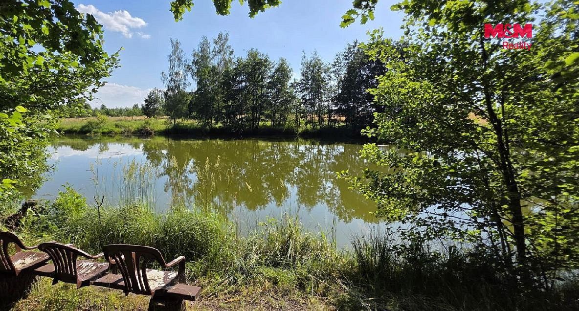 Rybník · Slezské Rudoltice - Amalín, okres Bruntál, Moravskoslezský kraj - 3
