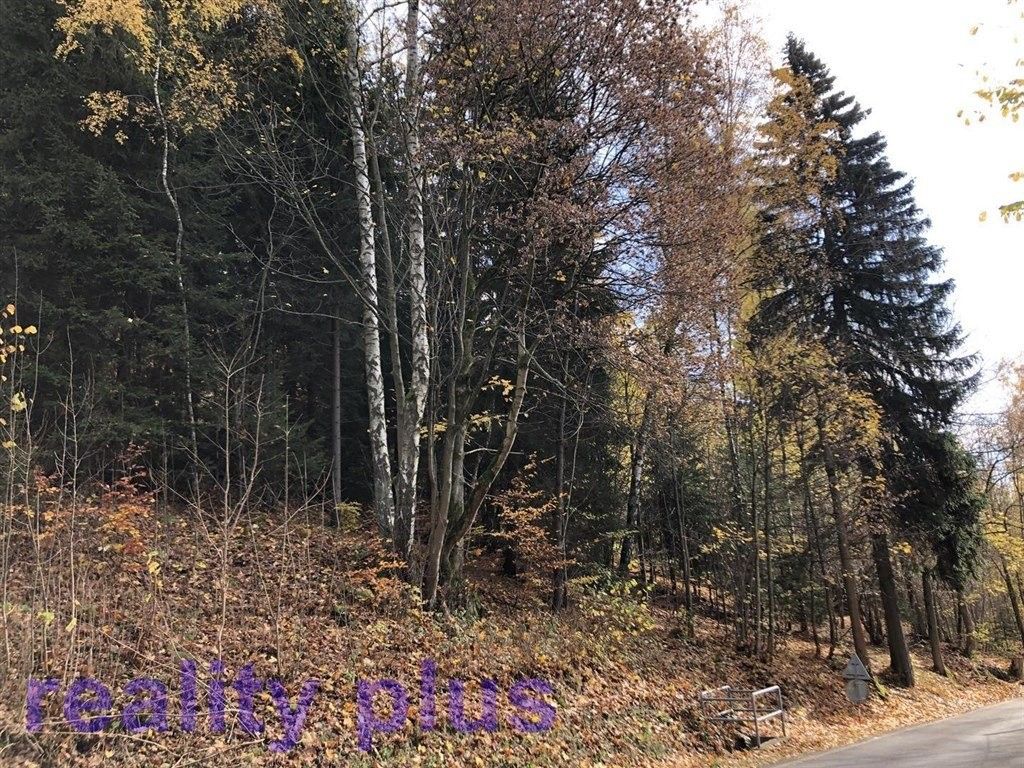 Prodej les - Bedřichov, 4 m²