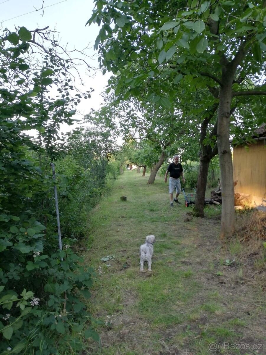 Prodej chata - Hrušovany u Brna, 664 62