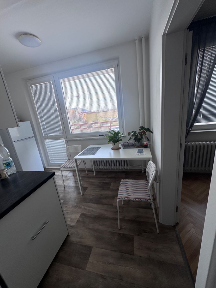 1+1, Dlouhá, Nový Jičín - Nový Jičín-Dolní Předměstí, Moravskoslezský kraj, 44 m² - 2