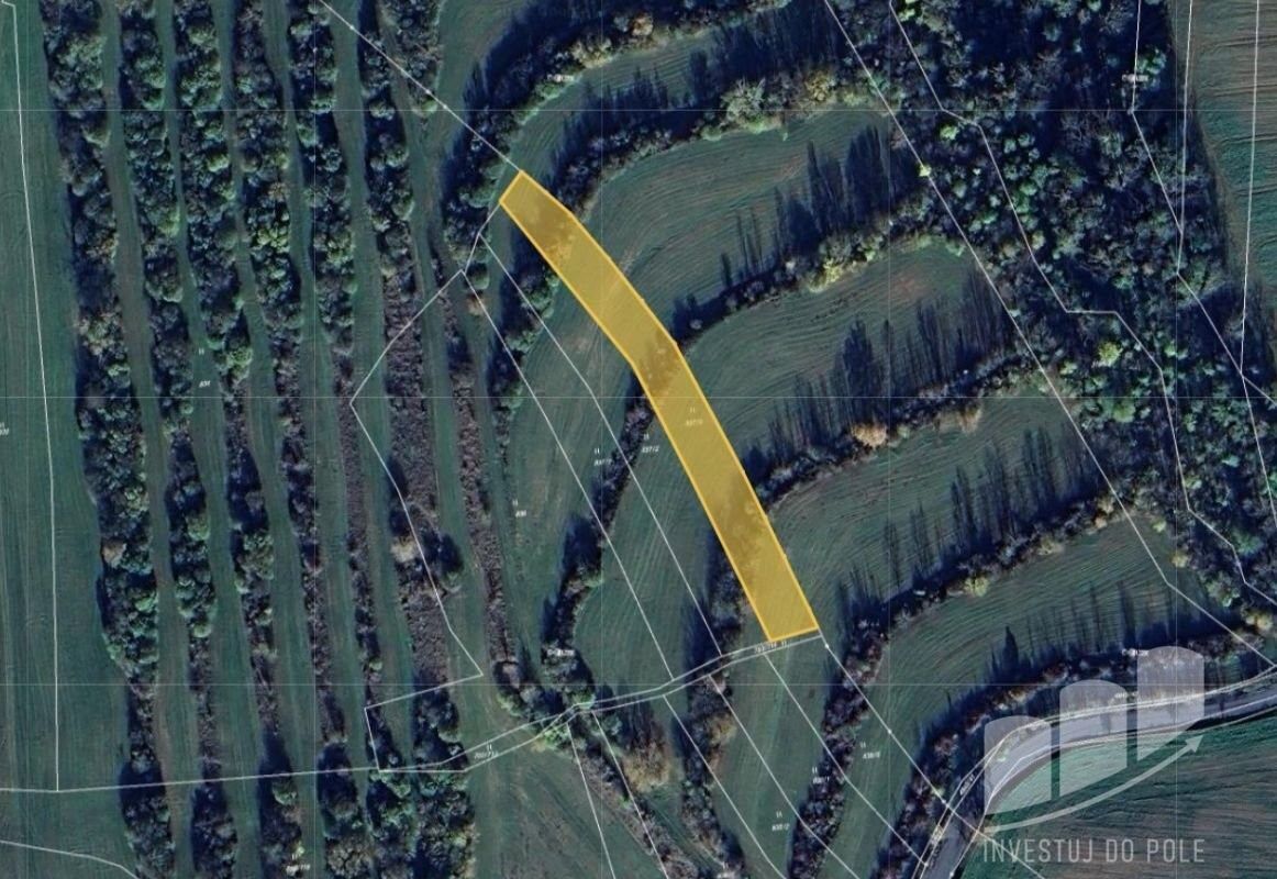 Prodej louka - Boršice u Buchlovic, 687 09, 3 071 m²