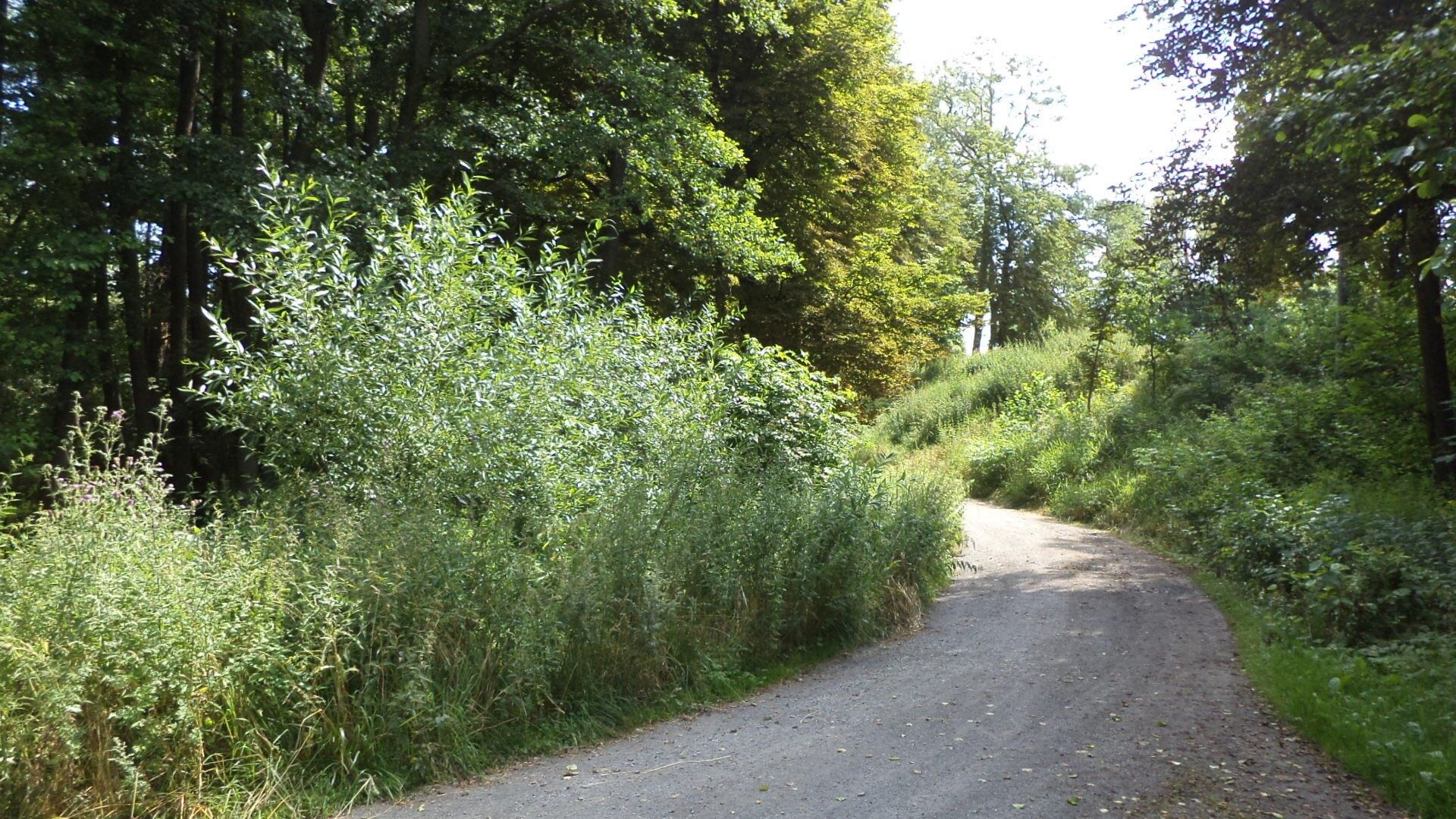 Pozemek, 1 046 m²