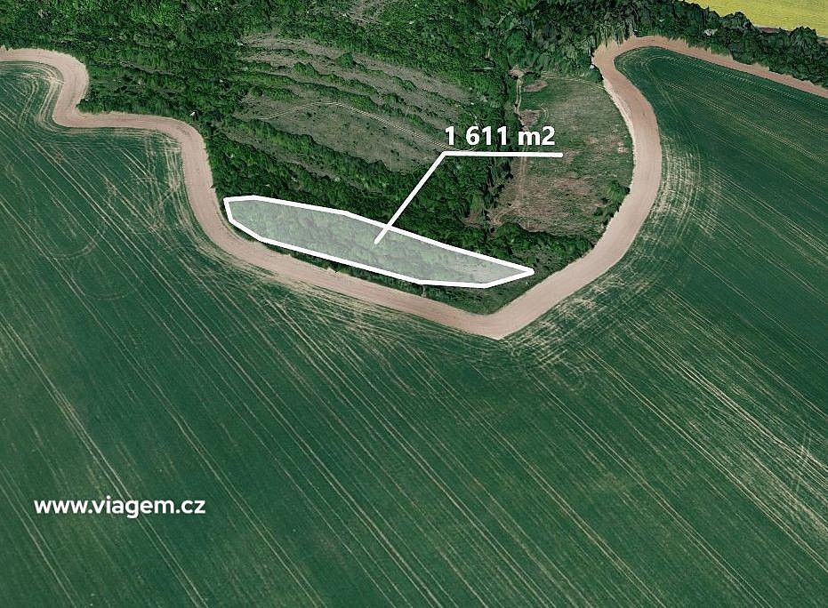 Zemědělské pozemky, Ždánice, okres Hodonín, Jihomoravský kraj - 2