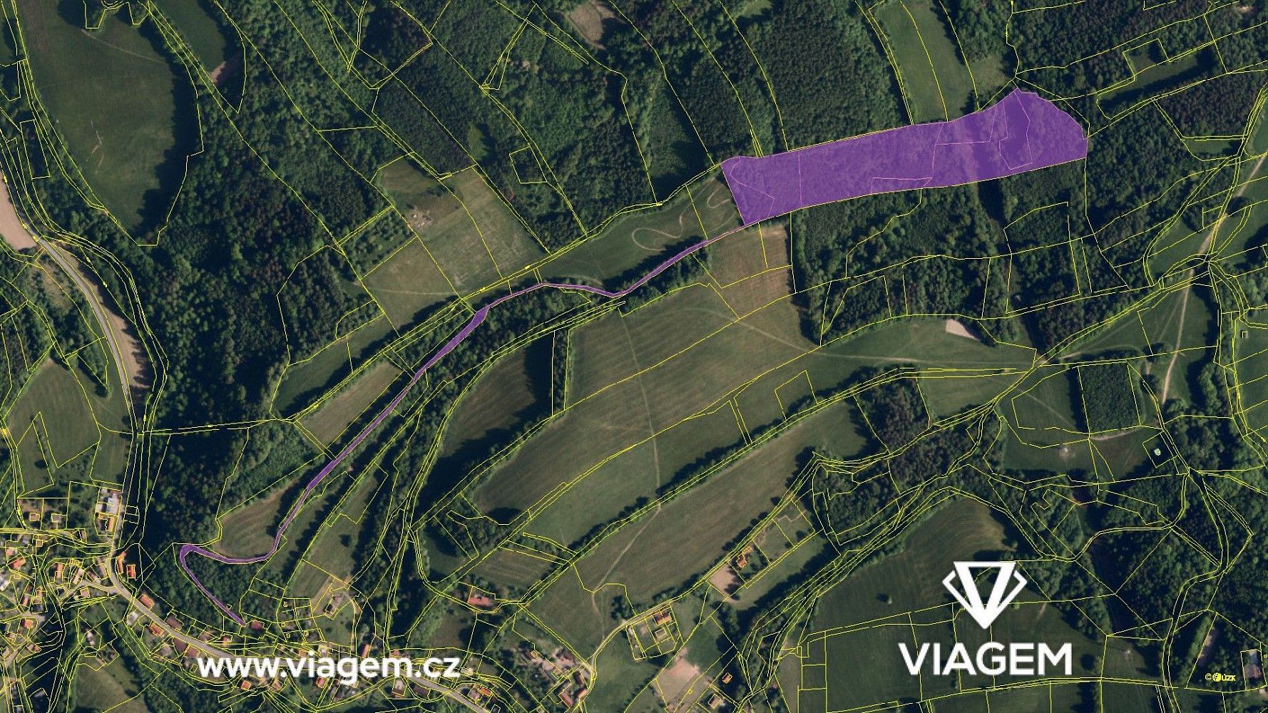 Les · Metylovice, okres Frýdek-Místek, Moravskoslezský kraj - 4