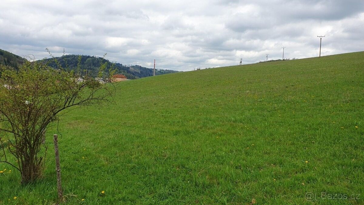 Prodej pozemek pro bydlení - Brněnec, 569 04