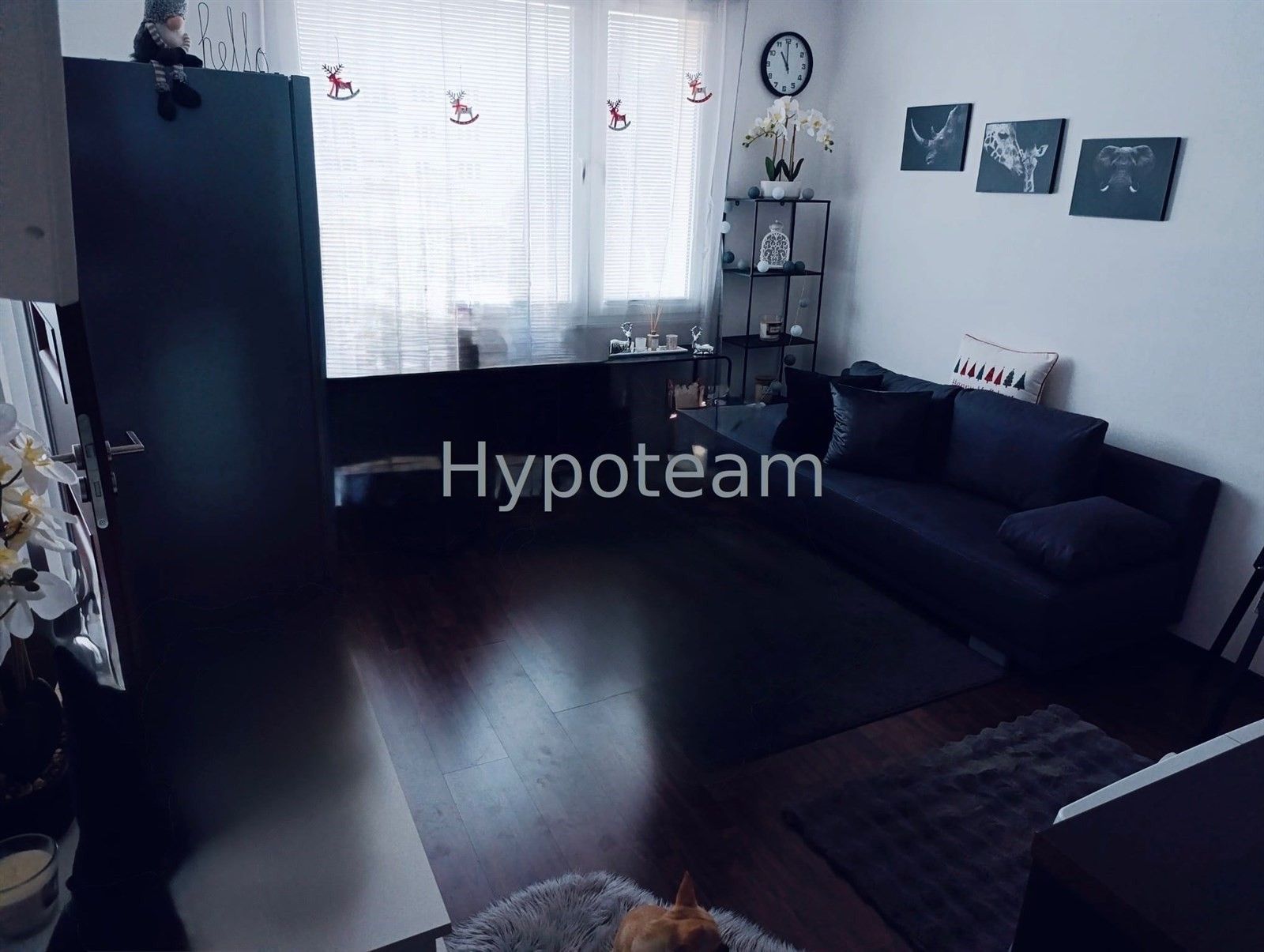 Pronájem byt 1+1 - Glennova, Ústí nad Labem, 36 m²