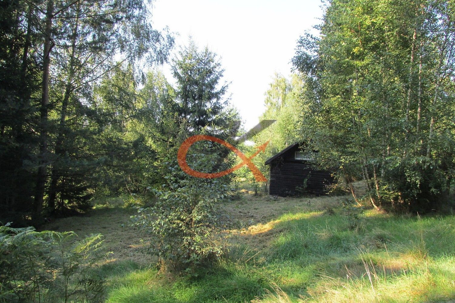 Pozemek · Prostřední Bečva, okres Vsetín, Zlínský kraj - 3