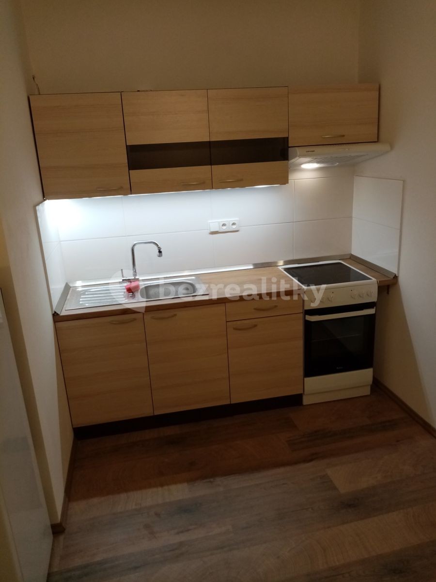 Byt 1+1 · 30 m² · Na náměstí, Davle - Davle, Středočeský kraj - 3