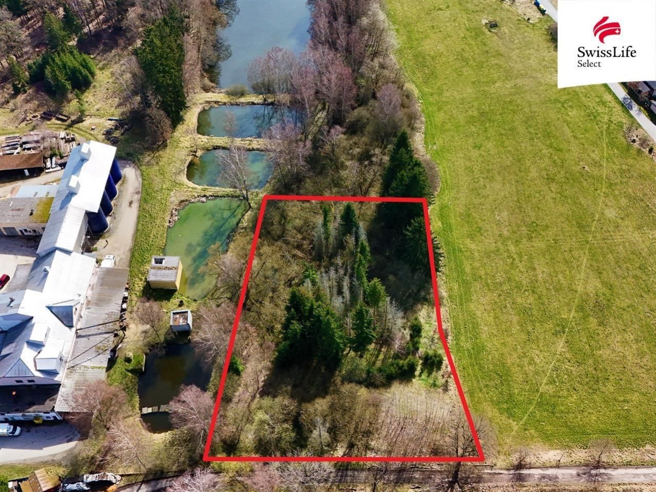 Prodej les - Rodvínov, 4 m²