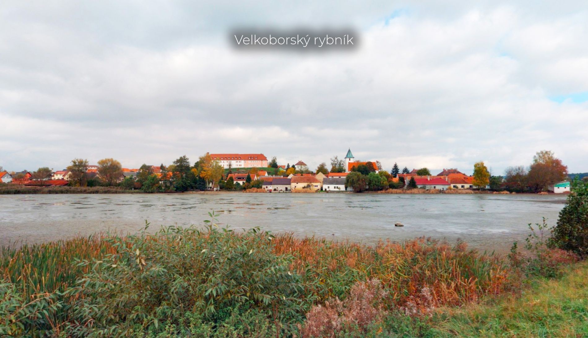 Les · Velký Bor - 2