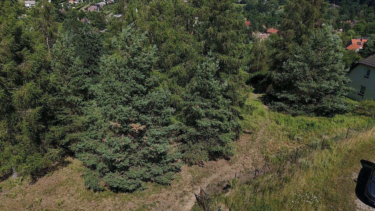 Prodej pozemek pro bydlení - Čtyřkoly, okres Benešov, Středočeský kraj - 5