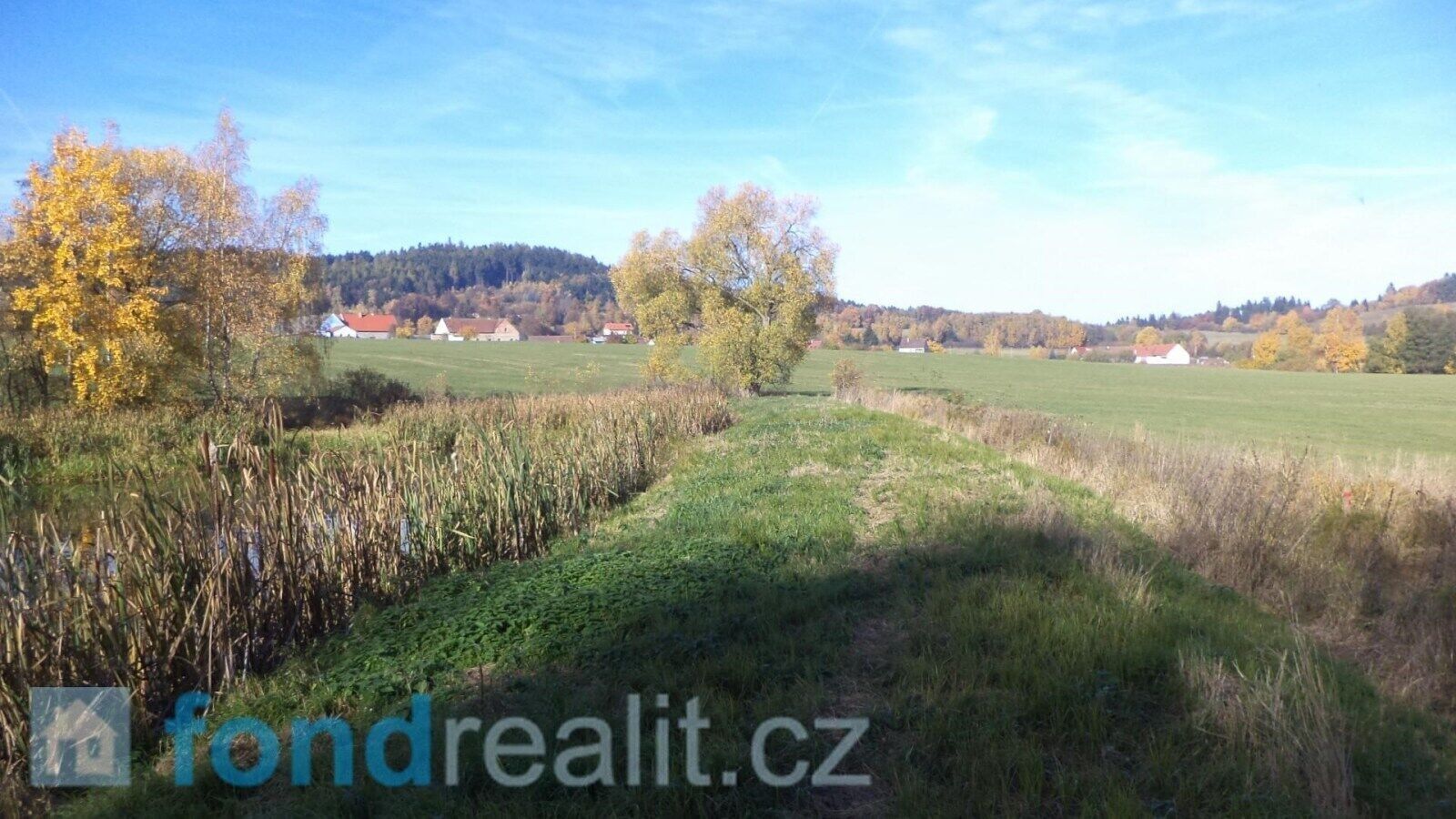 Pozemek · 1 225 m² · Borovná - 4
