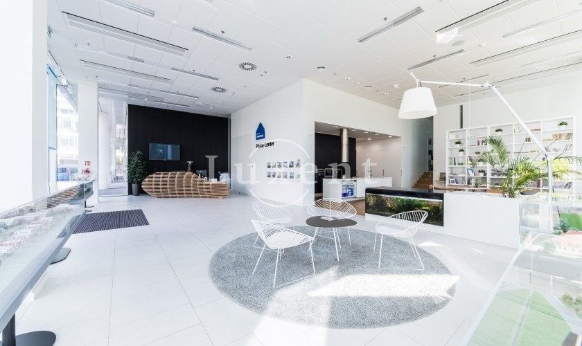 Kancelář · 244 m² · Hvězdova  , Praha Nusle - 4