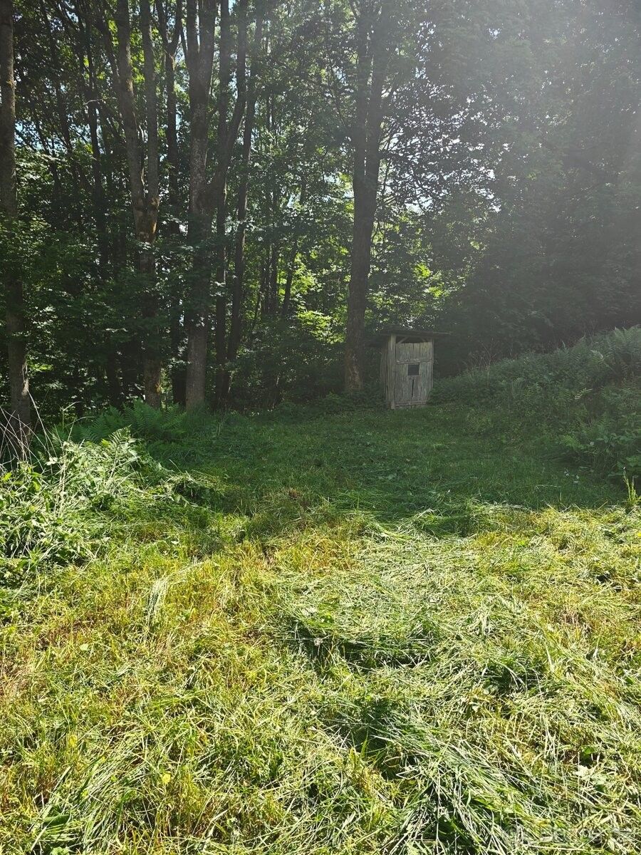 Prodej chata - Malé Svatoňovice, 542 34 - 5