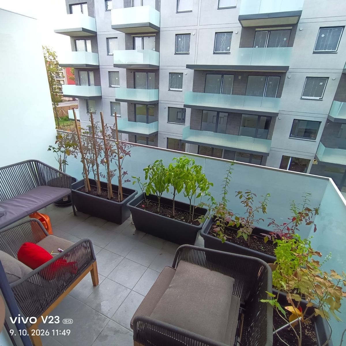 Byt 1+kk · 27 m² · Návarovská, Praha - Prosek - 4