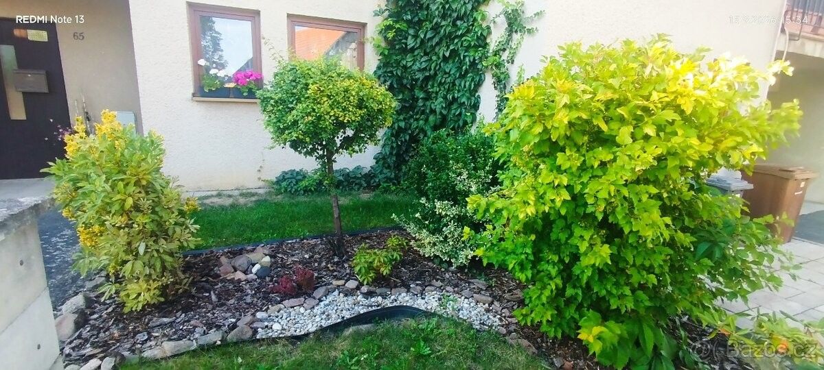Prodej rodinný dům - Ústí nad Orlicí, 562 01 - 5