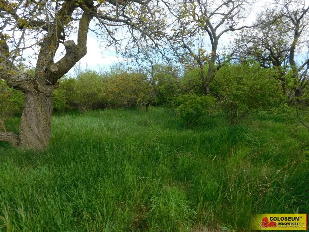 Zahrady, Znojmo, 669 02