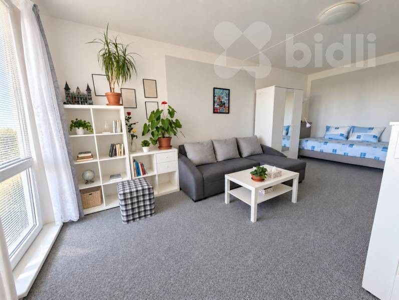 Byt 1+1, 45 m²