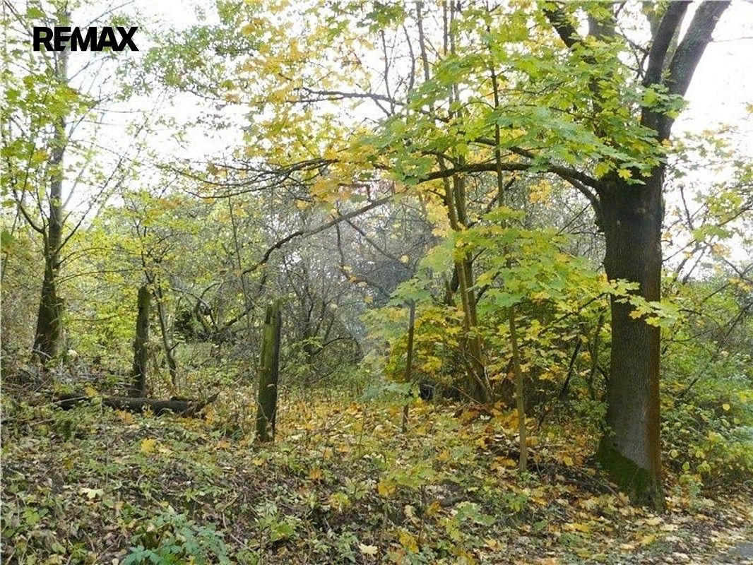 Prodej pozemek pro bydlení - Mariánské Lázně - Úšovice, okres Cheb, Karlovarský kraj - 5