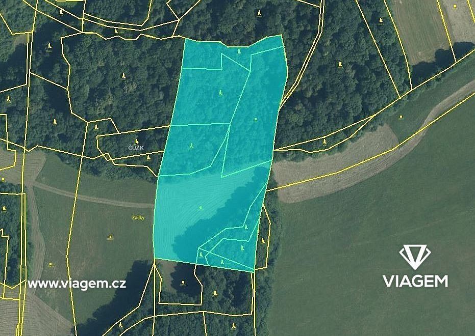 Les · Tichá, okres Nový Jičín, Moravskoslezský kraj - 4