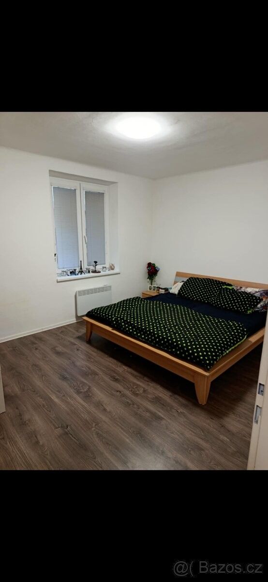 Pronájem byt - Opava, 746 01