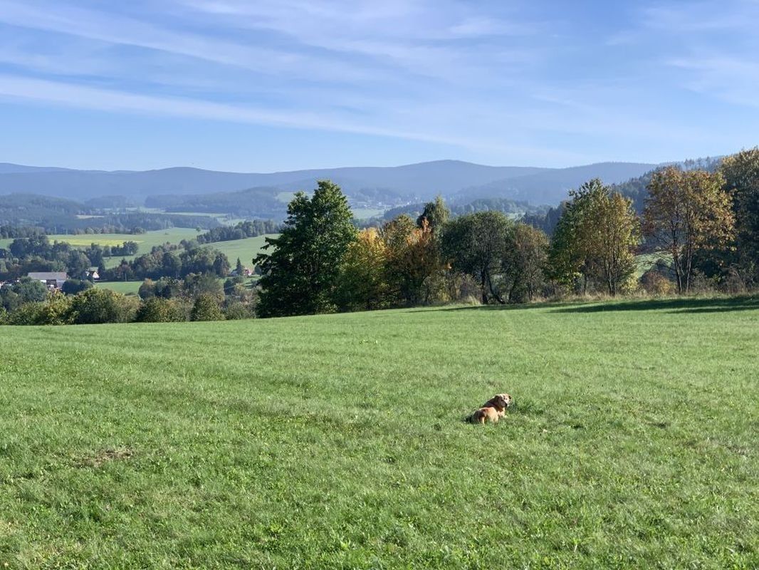 Louky, Stachy, 15 m²