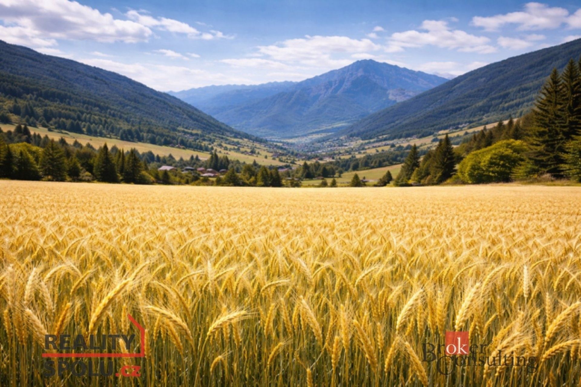 Prodej zemědělský pozemek - Bohdašín, 46 553 m²