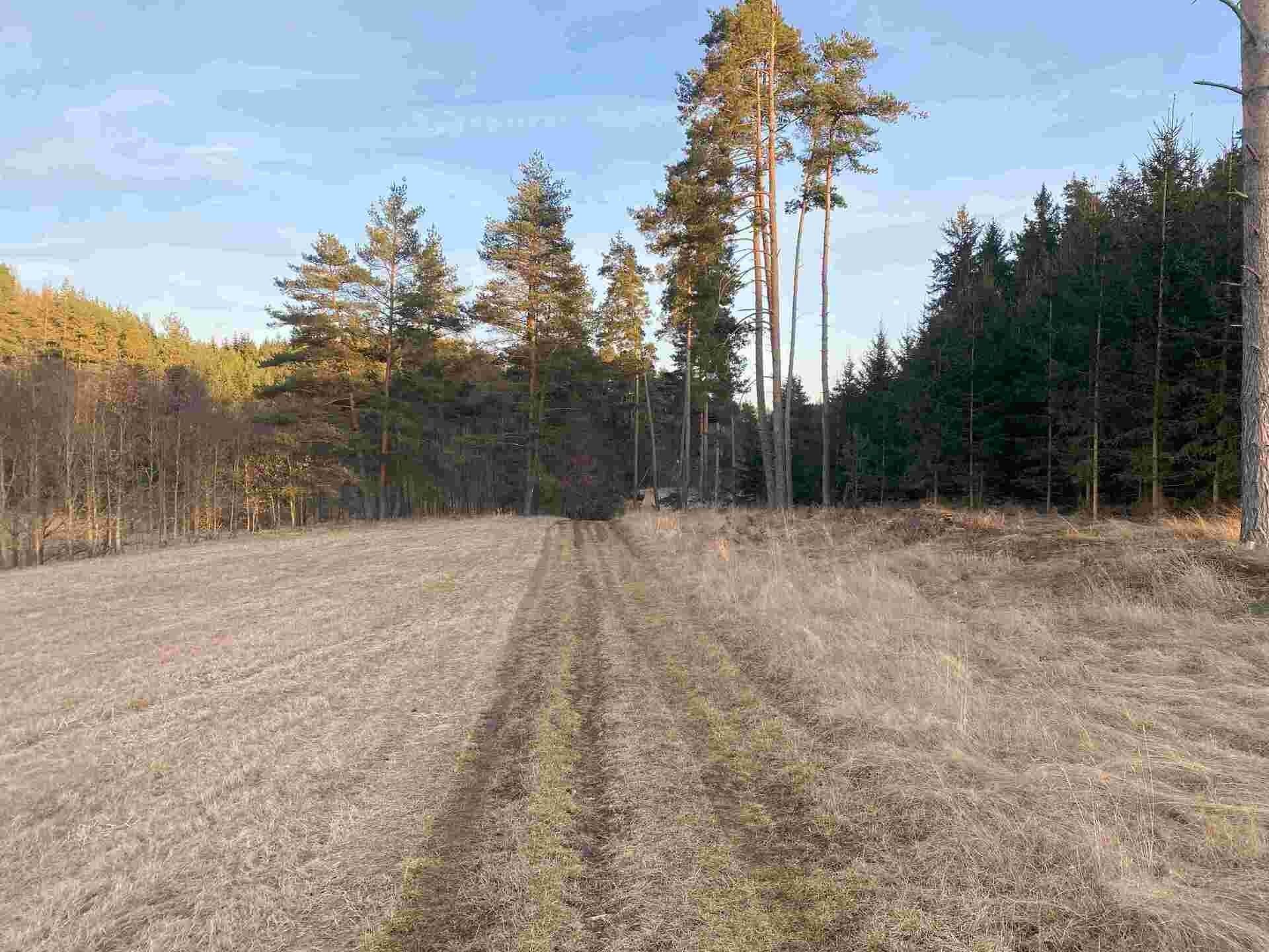 Prodej pozemek - Kočov, 5 268 m² - 5