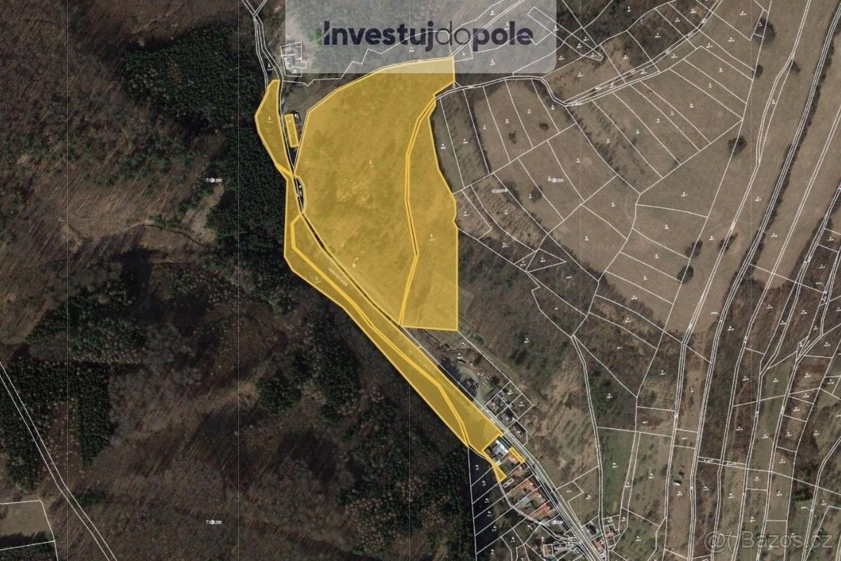 Prodej les - Traplice, 687 04, 3 358 m²