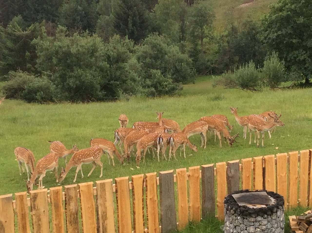 Chaty, Mosty u Jablunkova - Mosty u Jablunkova, Moravskoslezský kraj