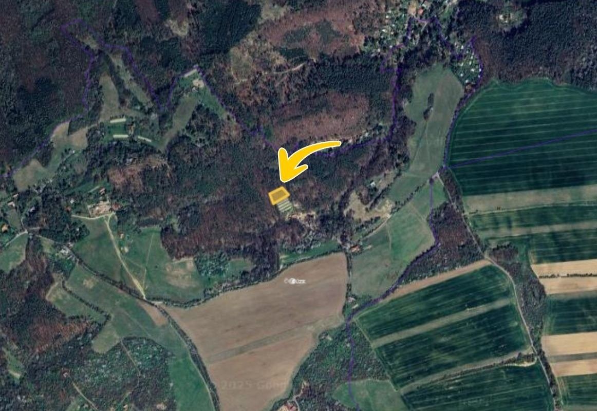 Pronájem les - Stříbrnice, 899 m²