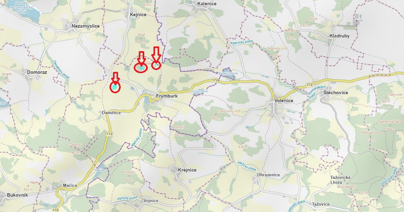 Prodej les - Frymburk - Druztová, okres Klatovy, Plzeňský kraj - 5