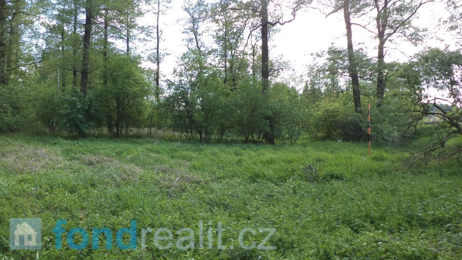 Pozemek · 1 844 m² · Dětmarovice Koukolná - 4