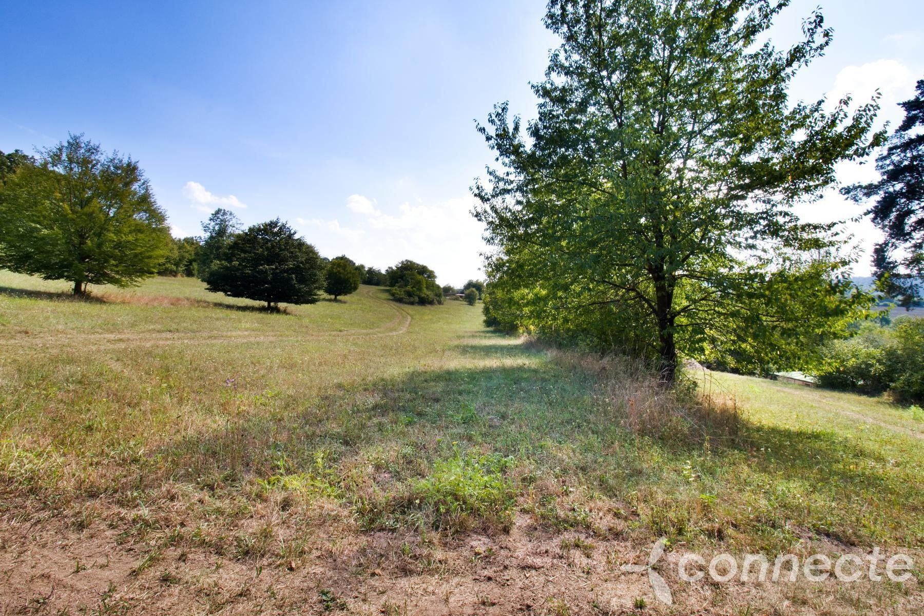 Prodej louka - Samopše, 14 836 m²