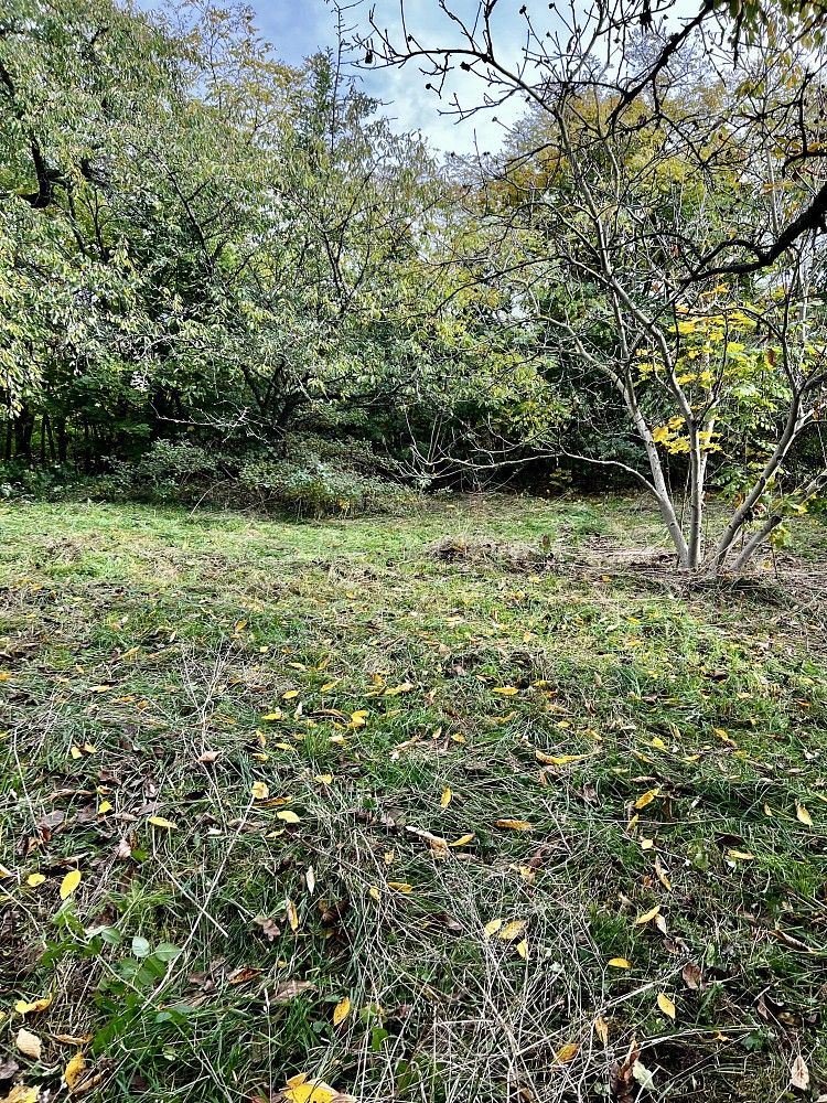 Rodinný dům · 300 m² · Praha - Koloděje, okres Praha 21, Hlavní město Praha - 3