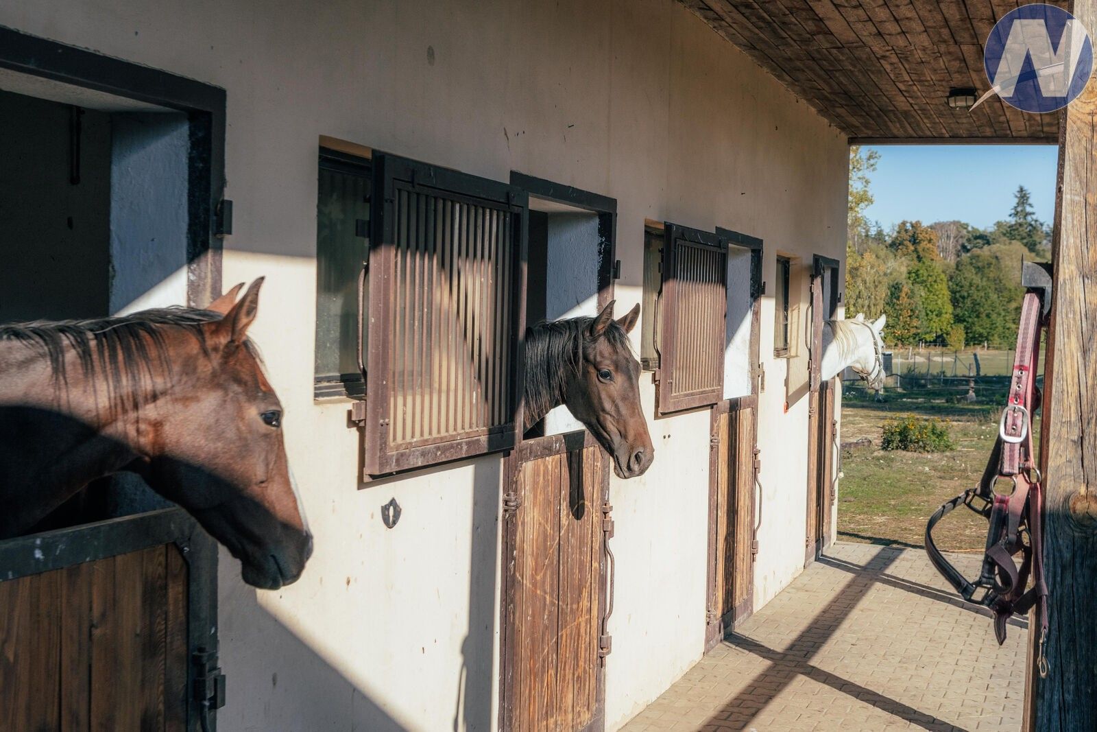 Zemědělská usedlost · 200 m² · Stříbro - 4