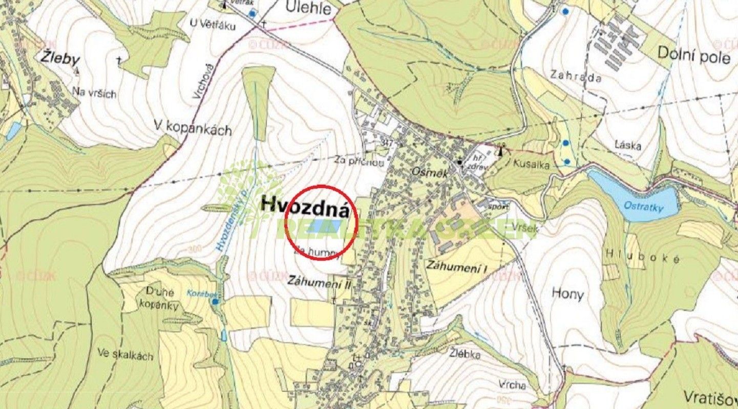 Zemědělský pozemek · 8 890 m² · Úvoz, Hvozdná - 4