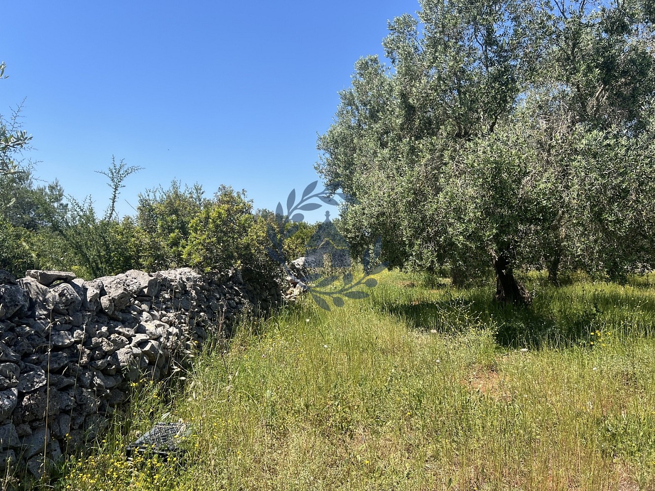 Pozemek pro bydlení · Maruggio, Itálie - 4