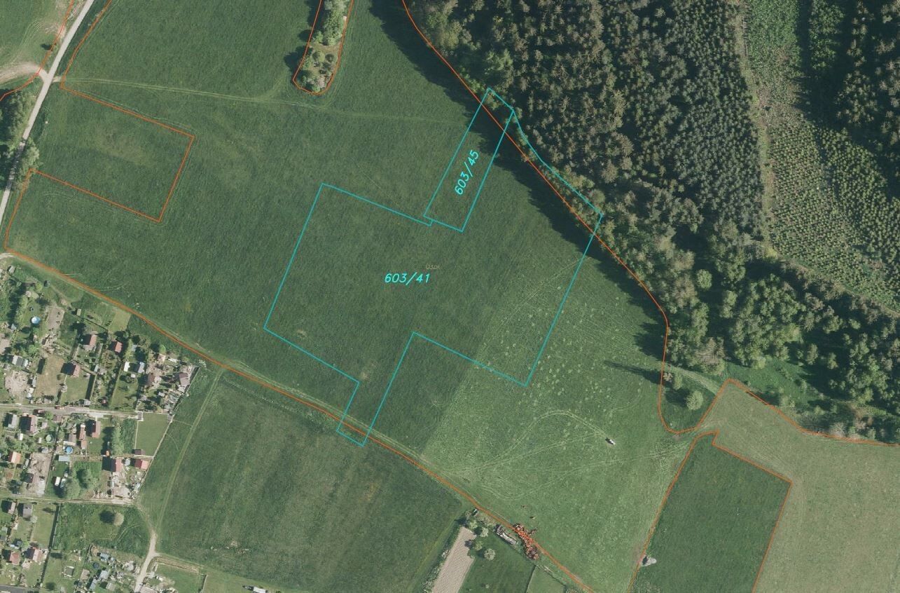 Zemědělský pozemek · 39 897 m² · Horní Planá - 4