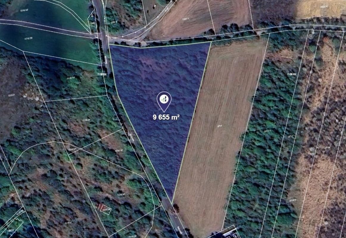 Zemědělský pozemek, 9 655 m²