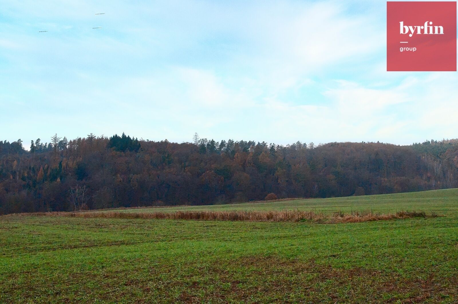 Louka · 6 660 m² · Olomouc - 4