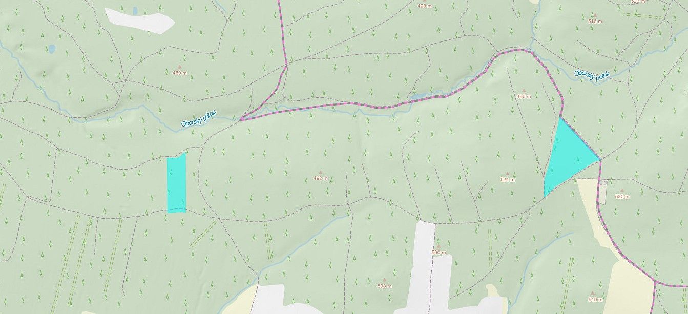 Prodej les - Jetětice, okres Písek, Jihočeský kraj - 2