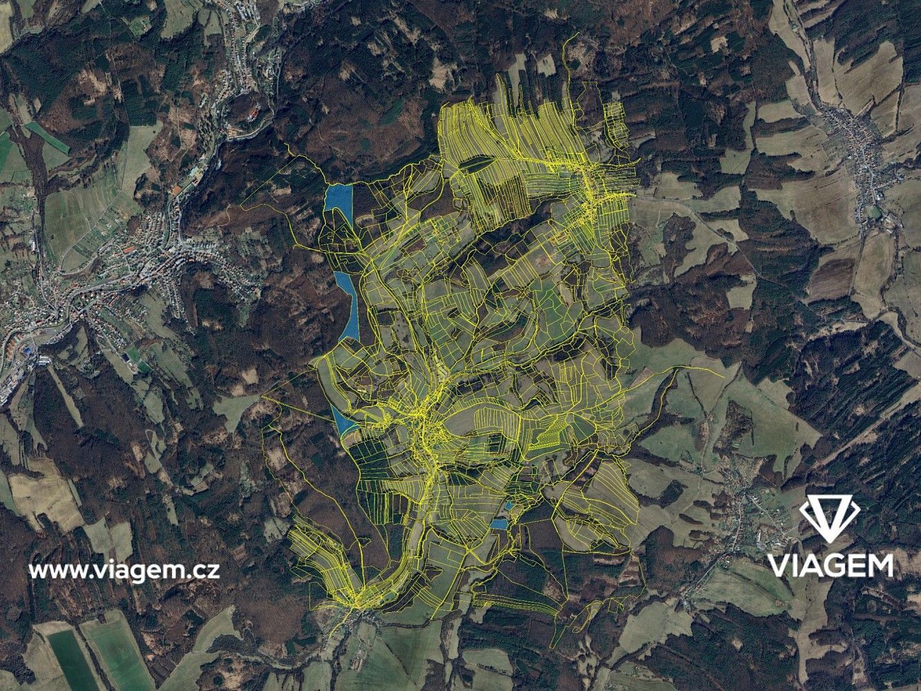 Les · Luhačovice, okres Zlín, Zlínský kraj - 4