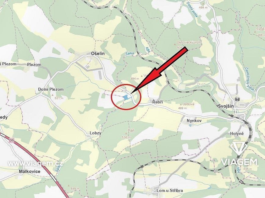 Les · Svojšín, okres Tachov, Plzeňský kraj - 4