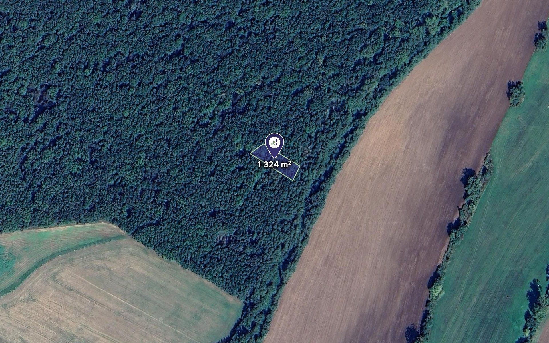 Lesy, Smidary, 662 m² - 1