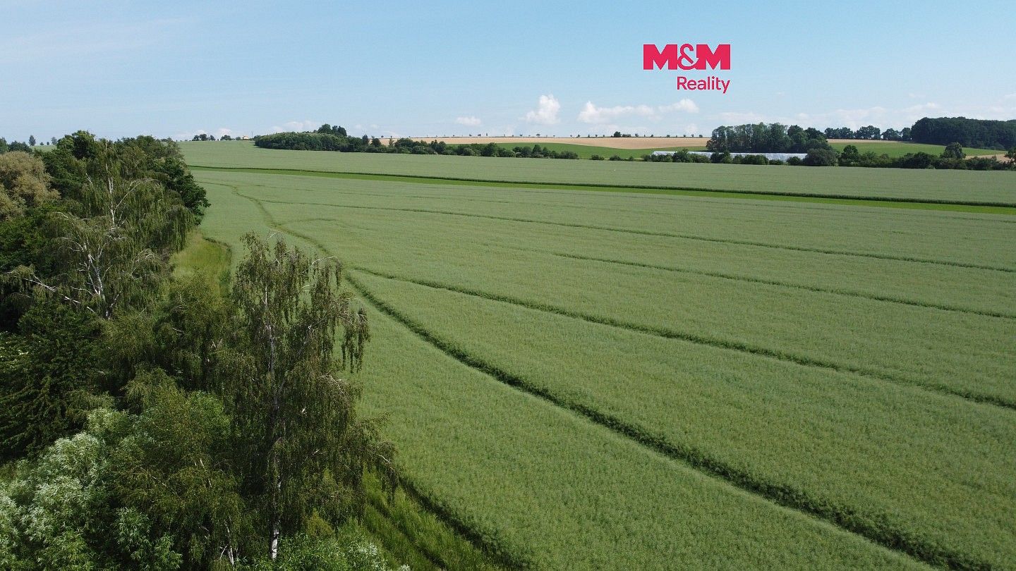 Zemědělské pozemky, Markvartice, okres Jičín - 1