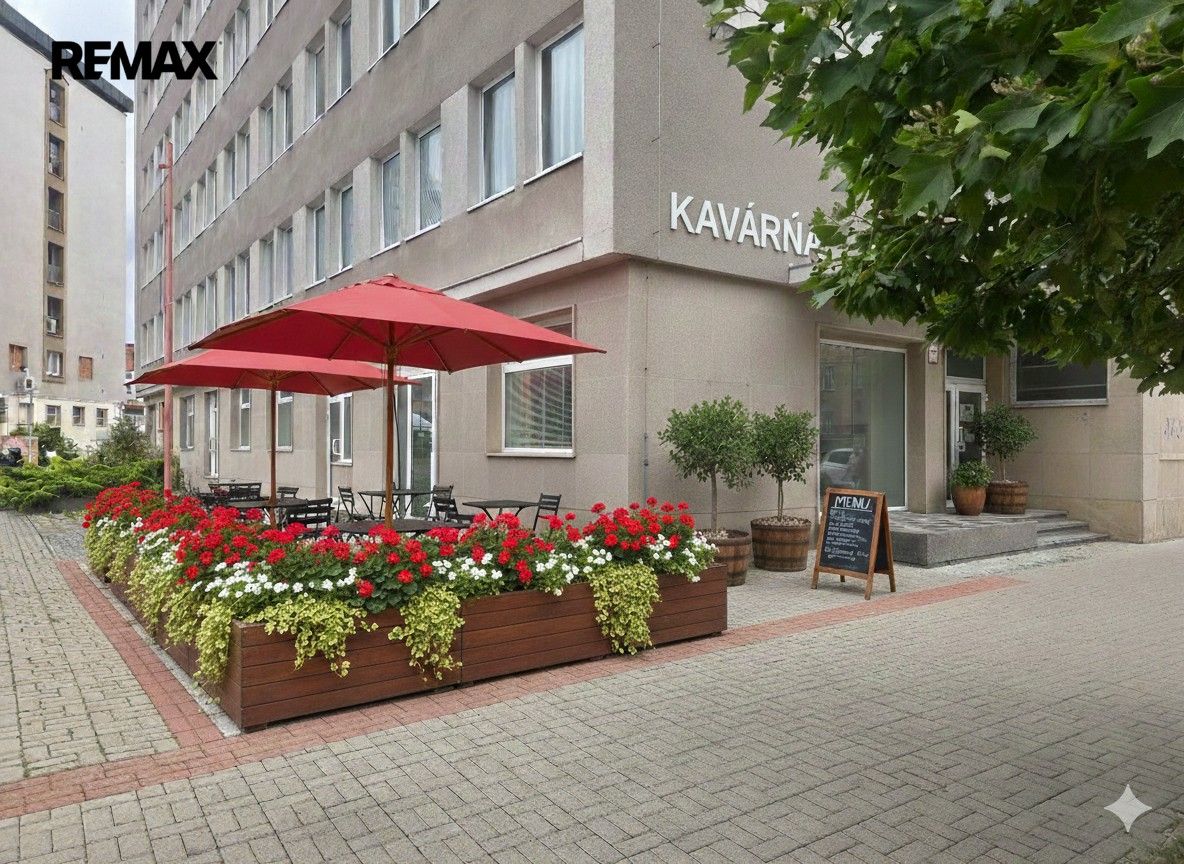 Obchodní prostory, Žižkova tř. 1321, České Budějovice 6, 252 m² - 1